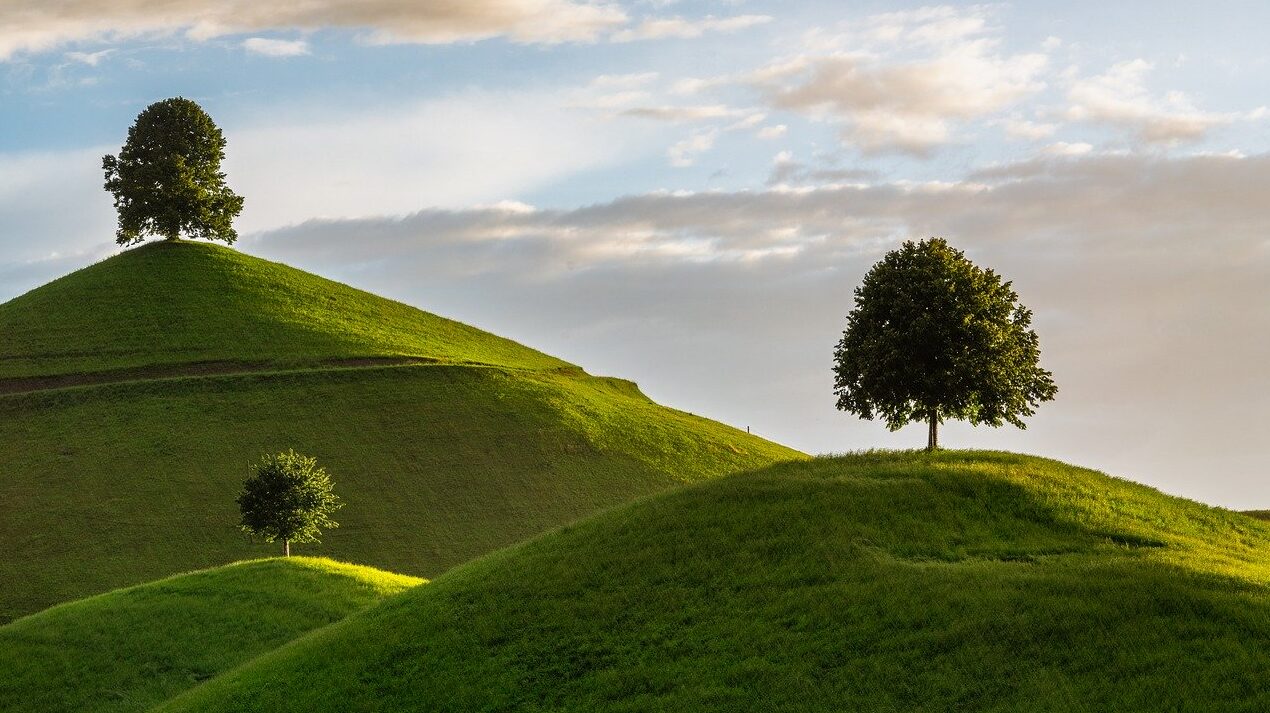 hill, tree, drumlin